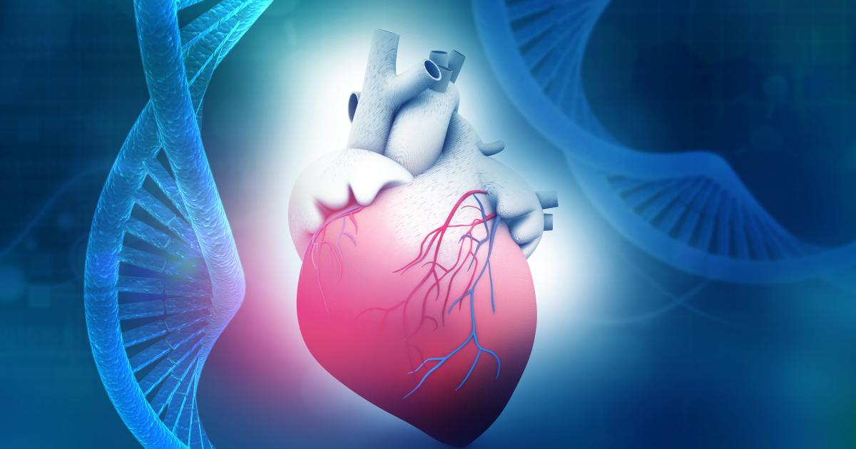 El Corazón y la Genética: ¿Se Heredan las Enfermedades Cardiovasculares?
